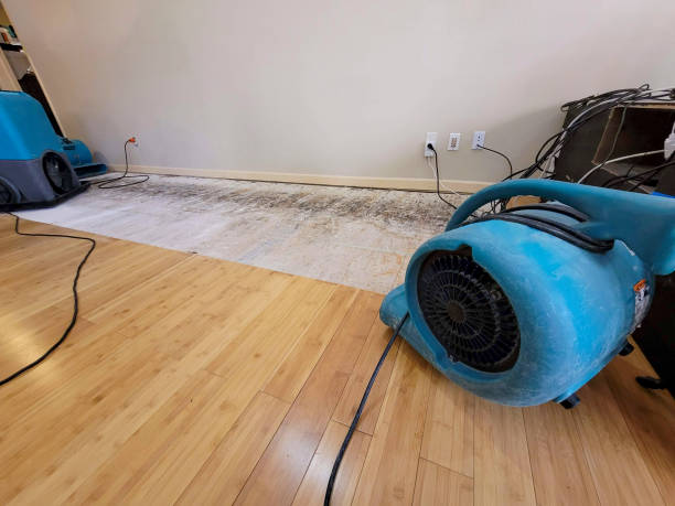 Professional Sewage Cleanup technician working in Lawrenceburg, KY